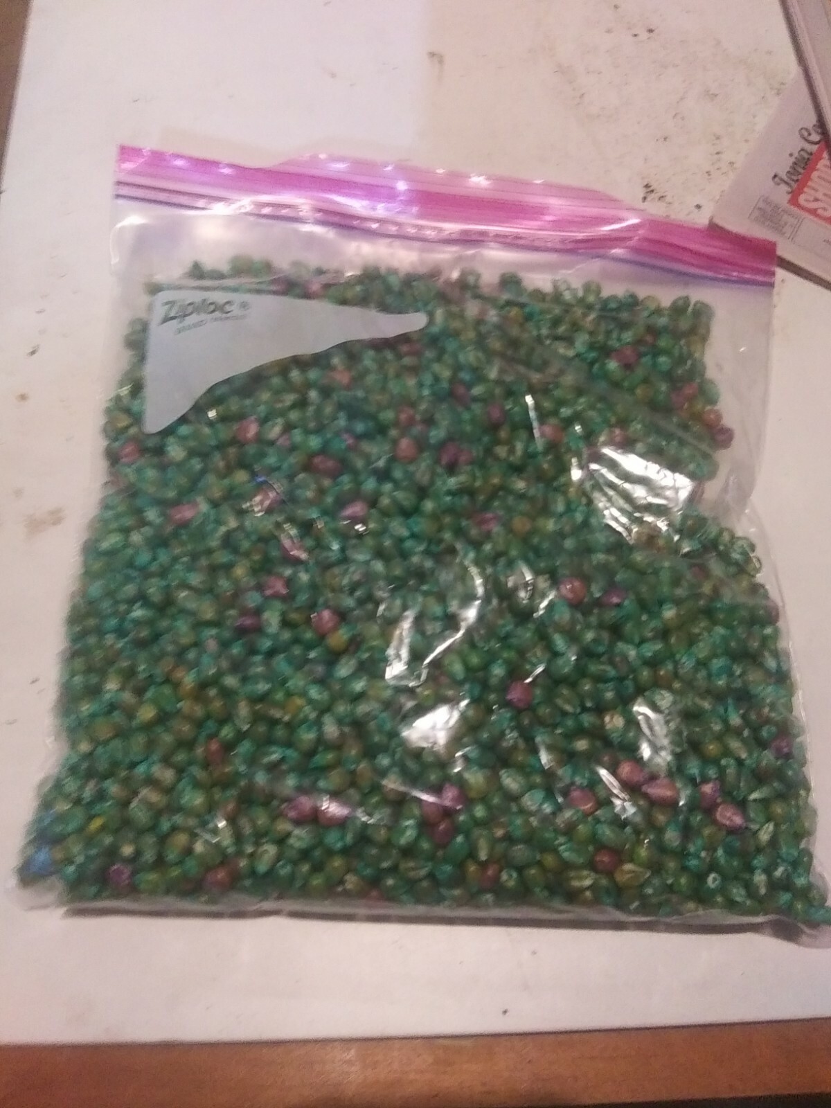 Roundup Ready Field Corn 98 day RM Wildlife Food Plots 5 lb