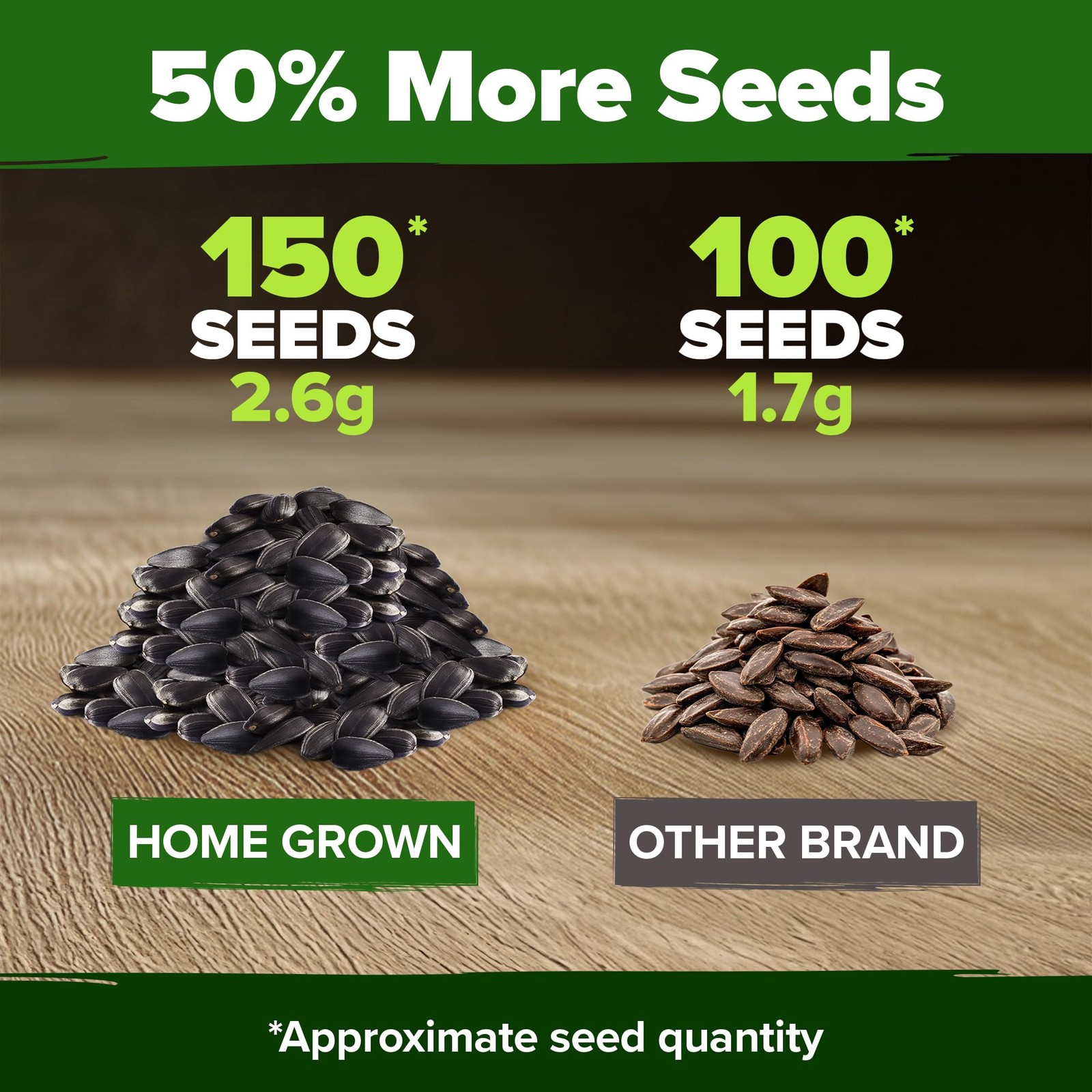 Chocolate Cherry Sunflower Seeds – 150 Heirloom Non-GMO Seeds – Burgundy Sunf…