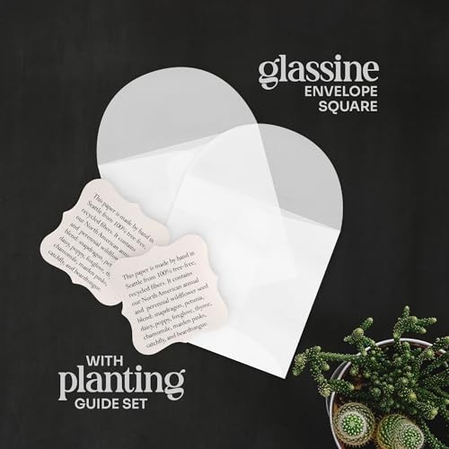 24 Mixed Heart Seed Paper – Writable Plantable Wildflower Hearts with Envelopes,