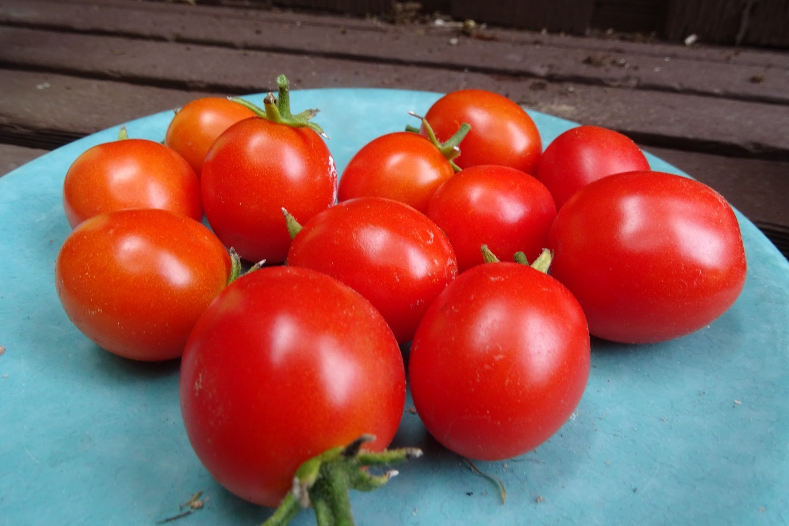 Pomodorini di Sardegna Tomato – authentic Greek tomato for salads and sauces