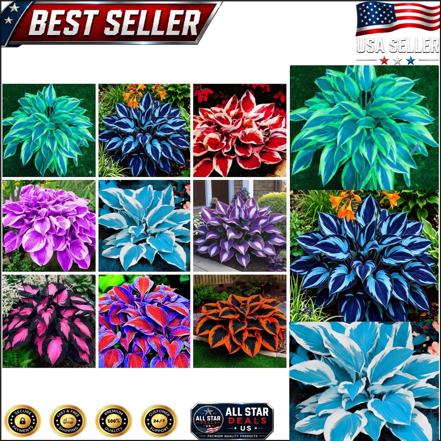 390+ Rare Hosta Seeds – Perennial Heart-Shaped Plants to Attract Pollinators