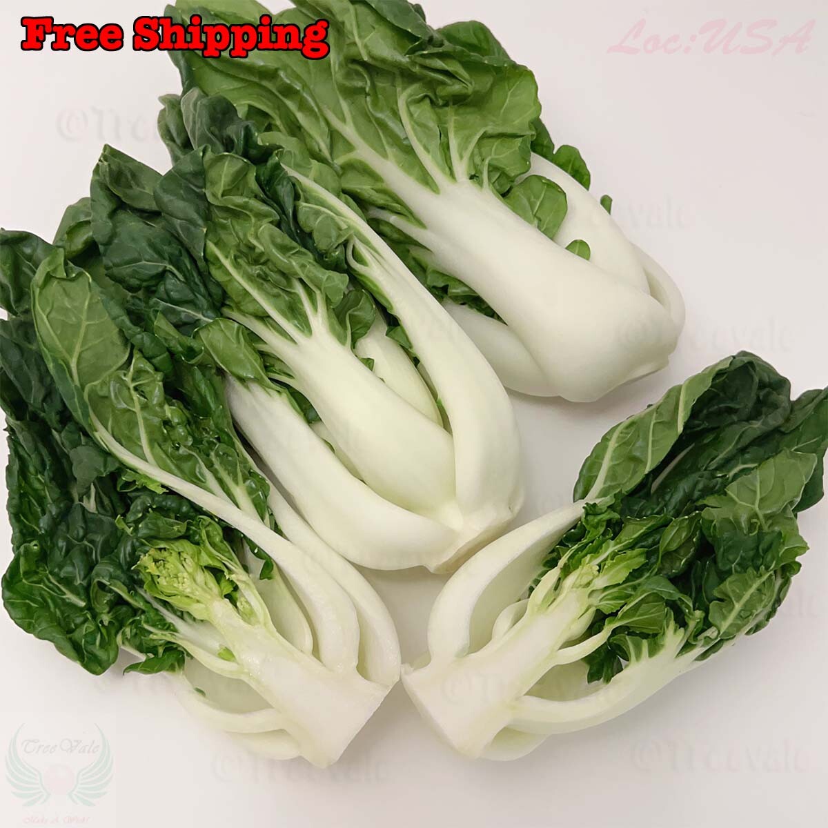 Pak Choi Cabbage Seeds – White Stem | Baby Bok Choy | NON-GMO, Vegetable Seeds