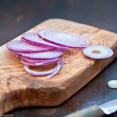 200 RED BURGUNDY ONION SEEDS ~ 2026 ~ heirloomseedguy ~ USA