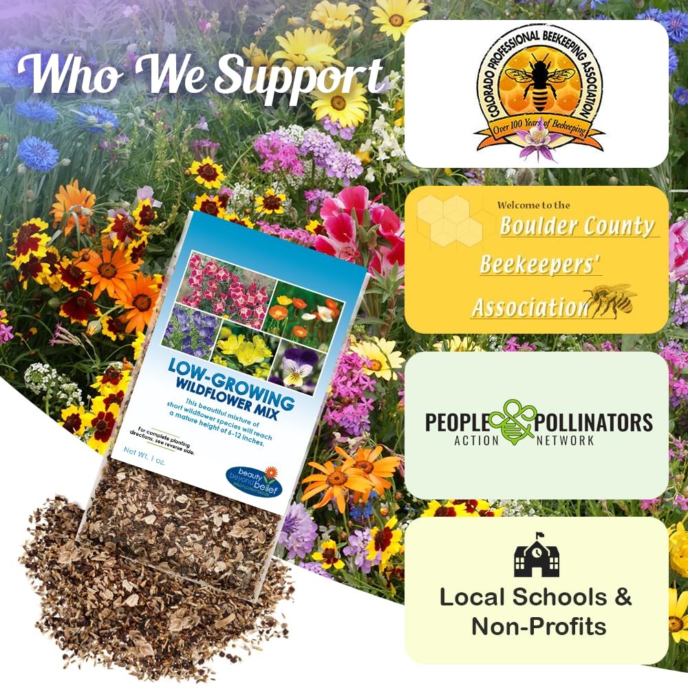 1 Ounce Low Growing Wildflower Seeds Mix 612 Inches Short Flowers Natural Mix
