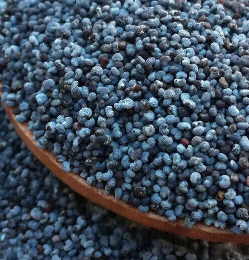 1,000 Blue Moon Poppy Seeds – P. Somniferum – Off White Blooms With Purple Eyes