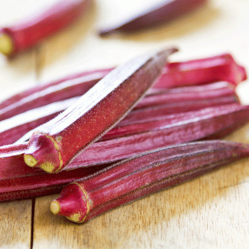 Red Burgundy Okra Seeds 50 Ct Vegetable Garden NON-GMO USA SELLER FREE SHIPPING