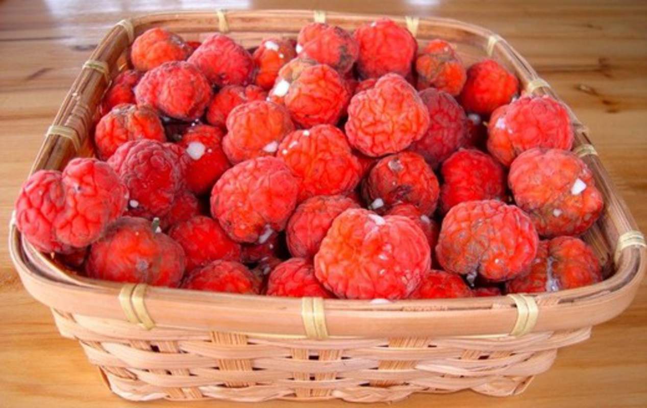 1-1000 PCS Chinese Mulberry Silkworm Tree Seeds Melon Berry Fruit Flower 0182