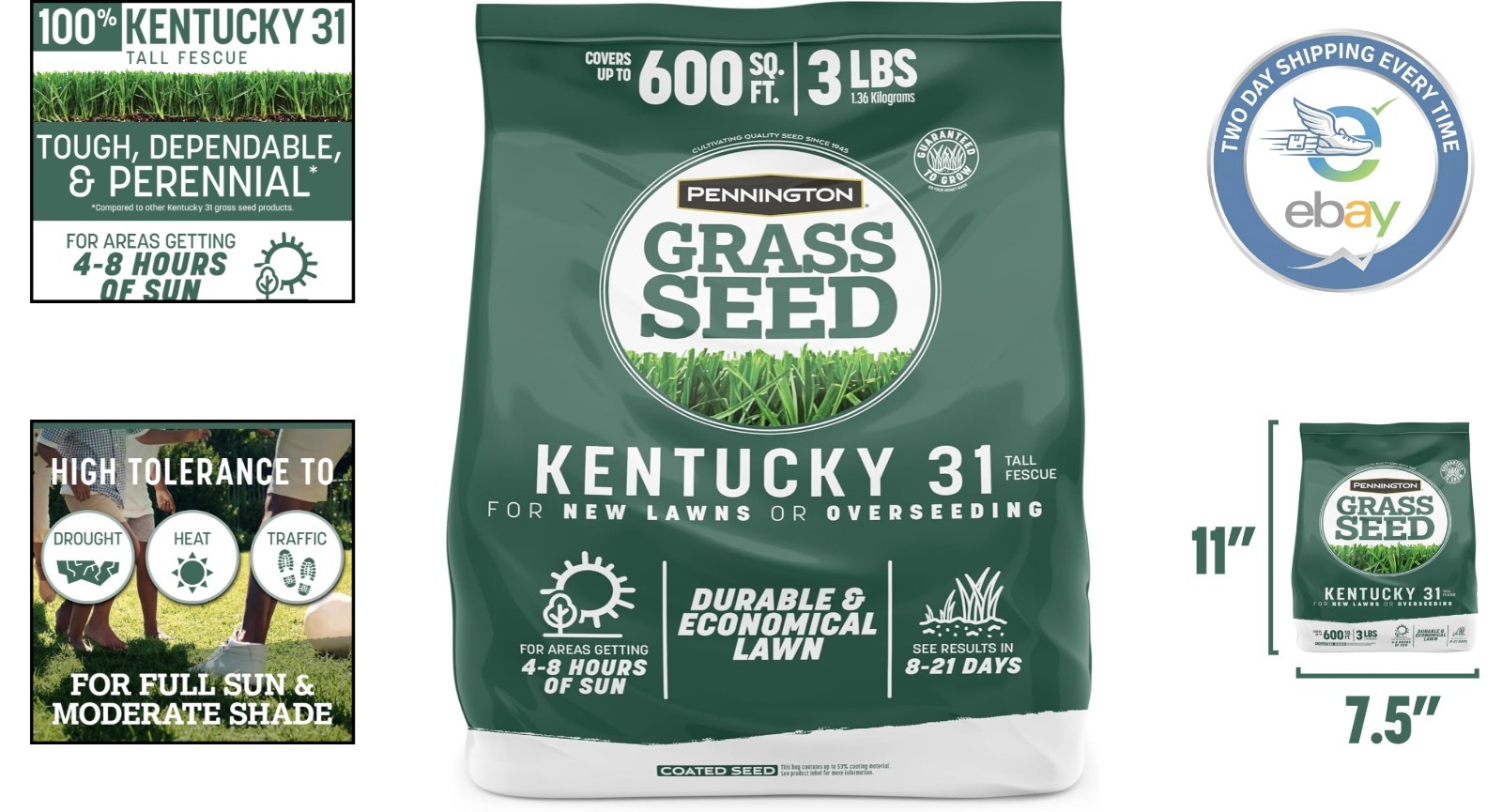 Penkoted Kentucky 31 Tall Fescue Grass Seed – 3 lb for Drought Resistance