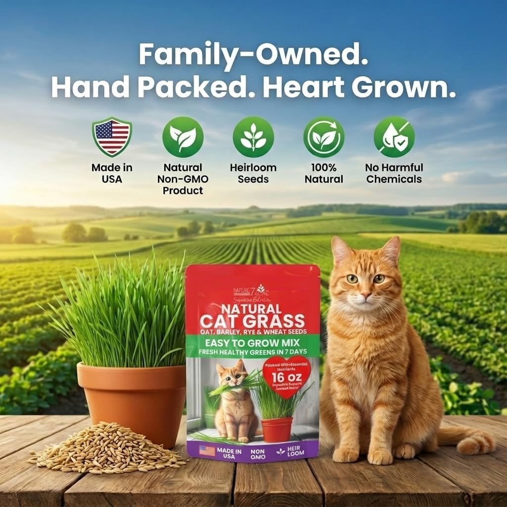Natural Cat Grass Seeds for Indoor Cats – High Germination Oat, Wheat, Rye
