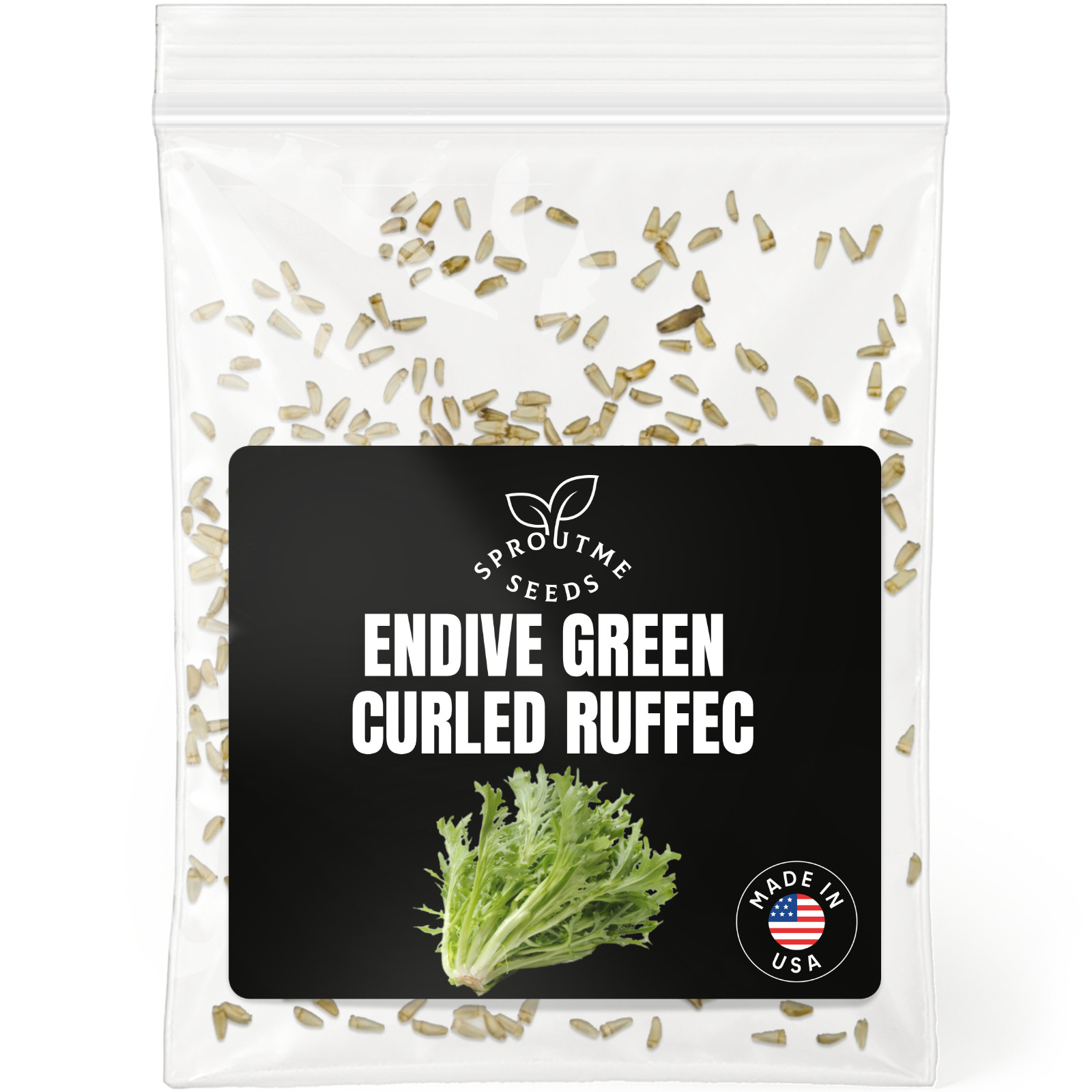 Curled Endive Ruffec Seeds 500+, Heirloom Non-GMO, Cool Season Greens