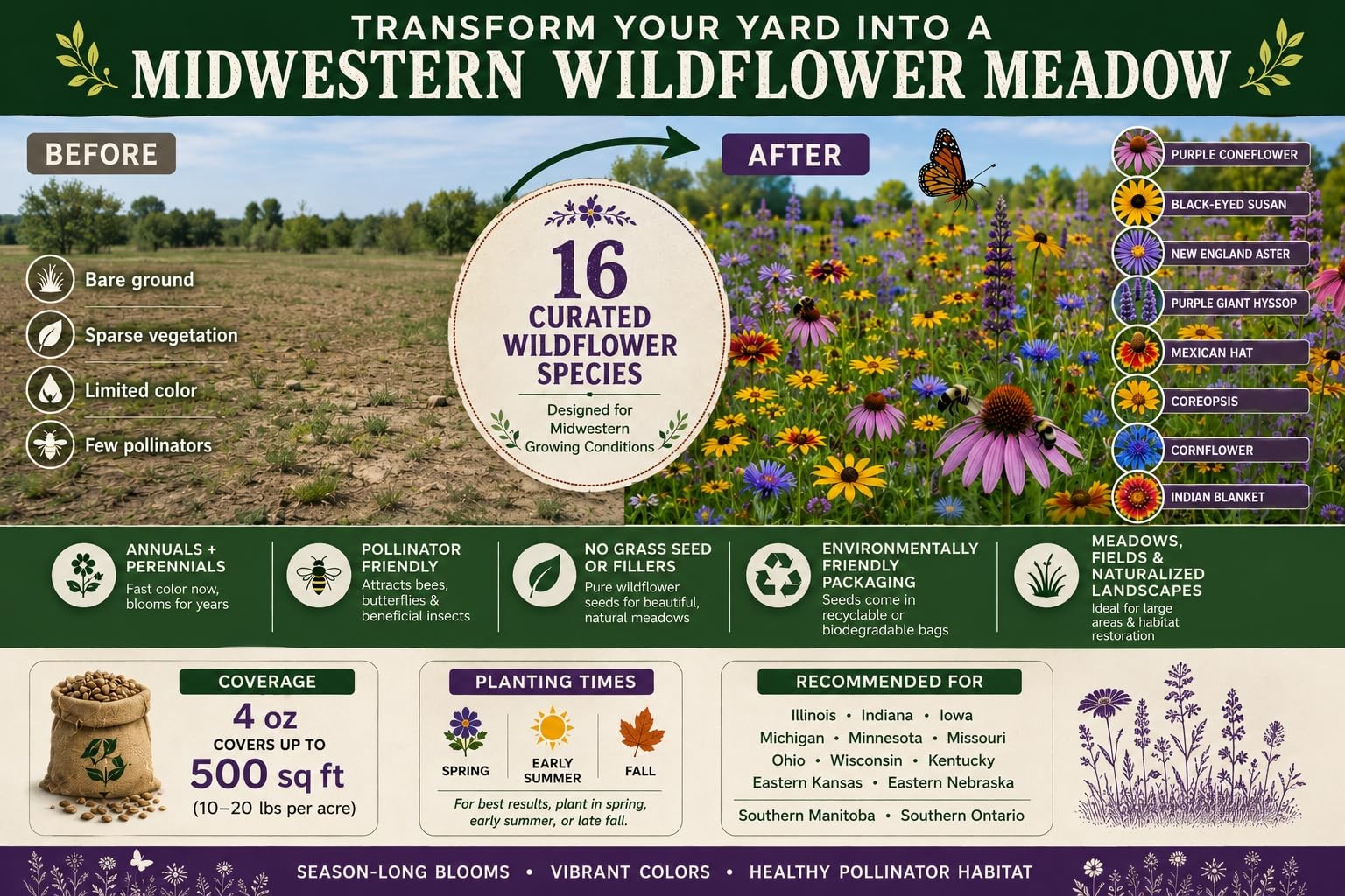 Wisconsin Bulk Perennial and Annual Wildflower 1/4 Pound, Multicolored Blooms