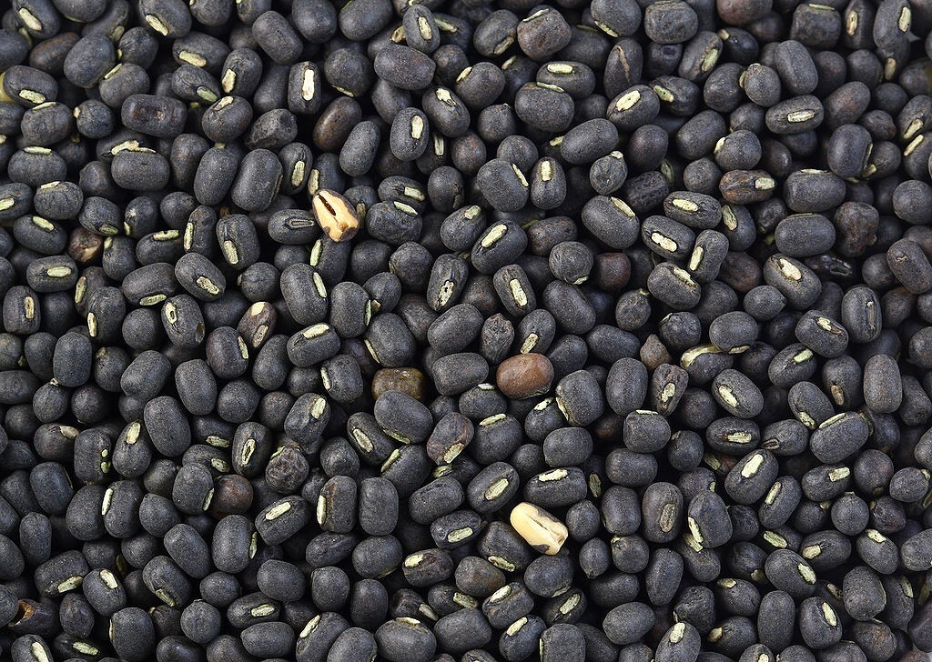 200 Organic Black Lentil Seeds Non-GMO Great For Growing Sprouts! Free Shipping