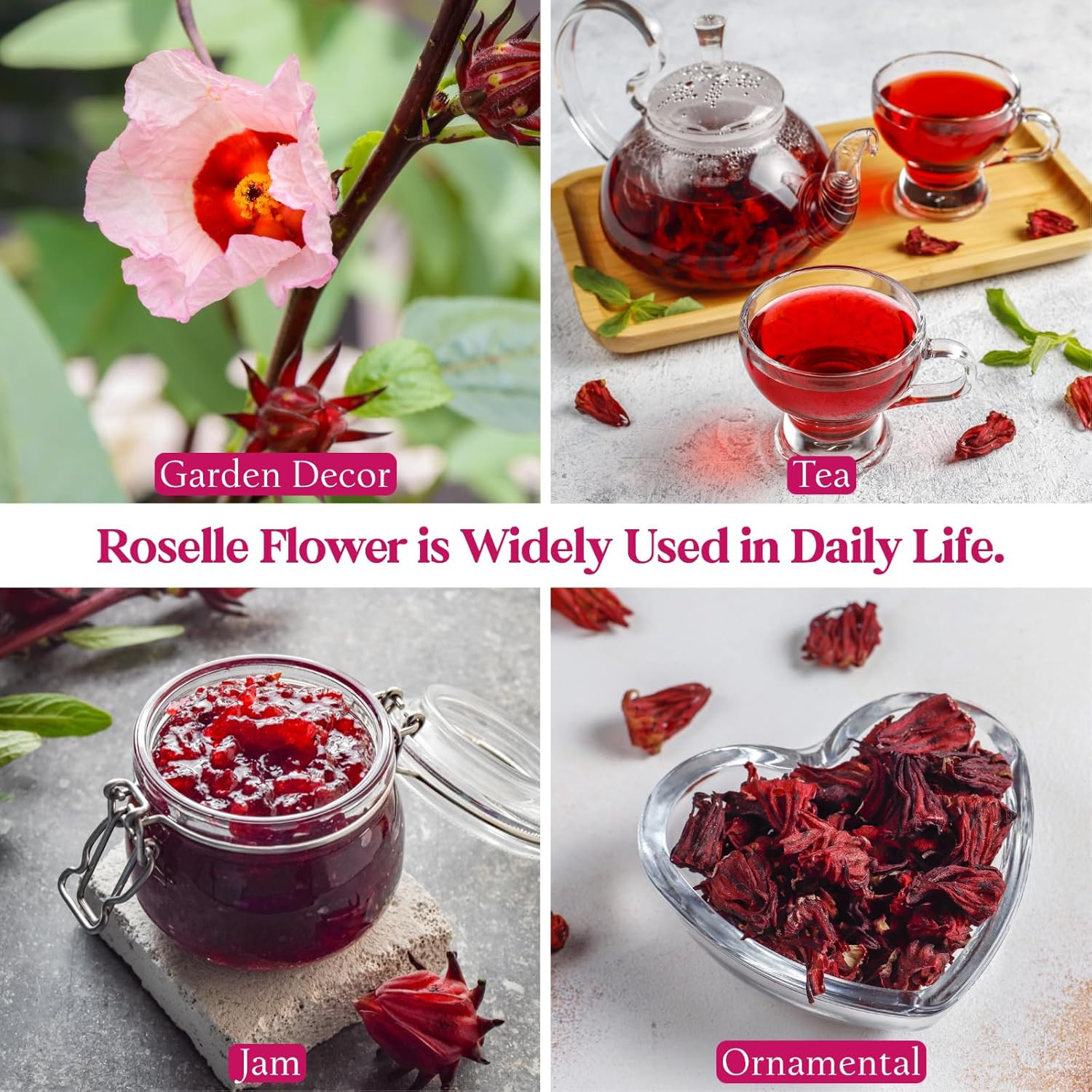 300+ Roselle Seeds for Planting – Hibiscus Sabdariffa, Jamaican Sorrel Seeds Cra