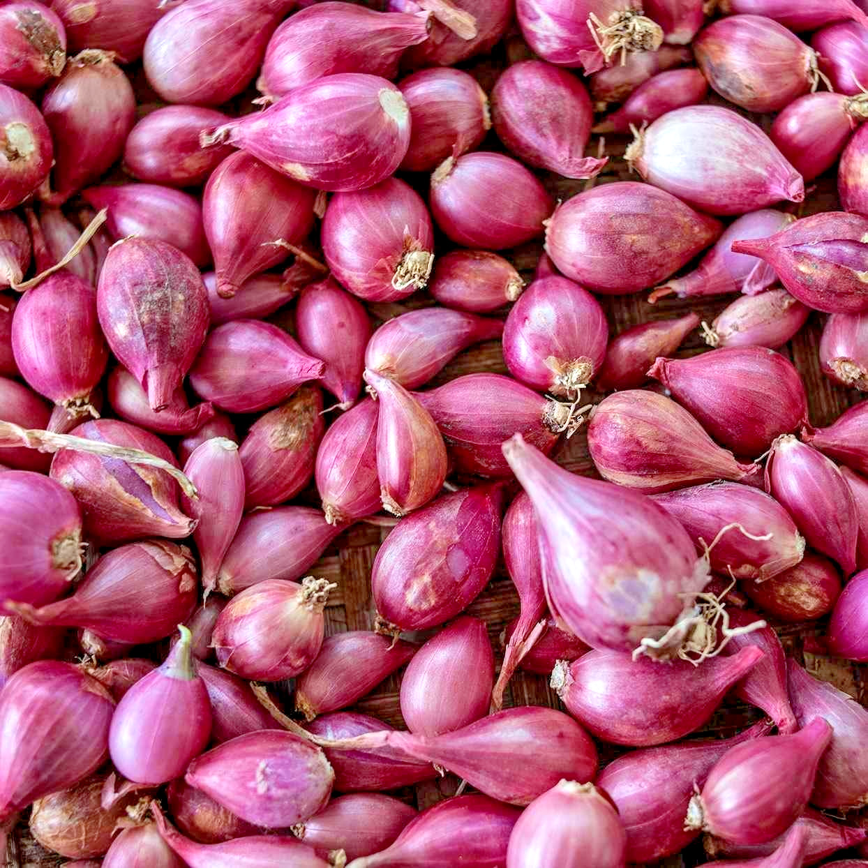 🌿 4oz Premium Shallots – Strong Aroma & Bold Flavor | Gourmet Red Shallot Bulbs