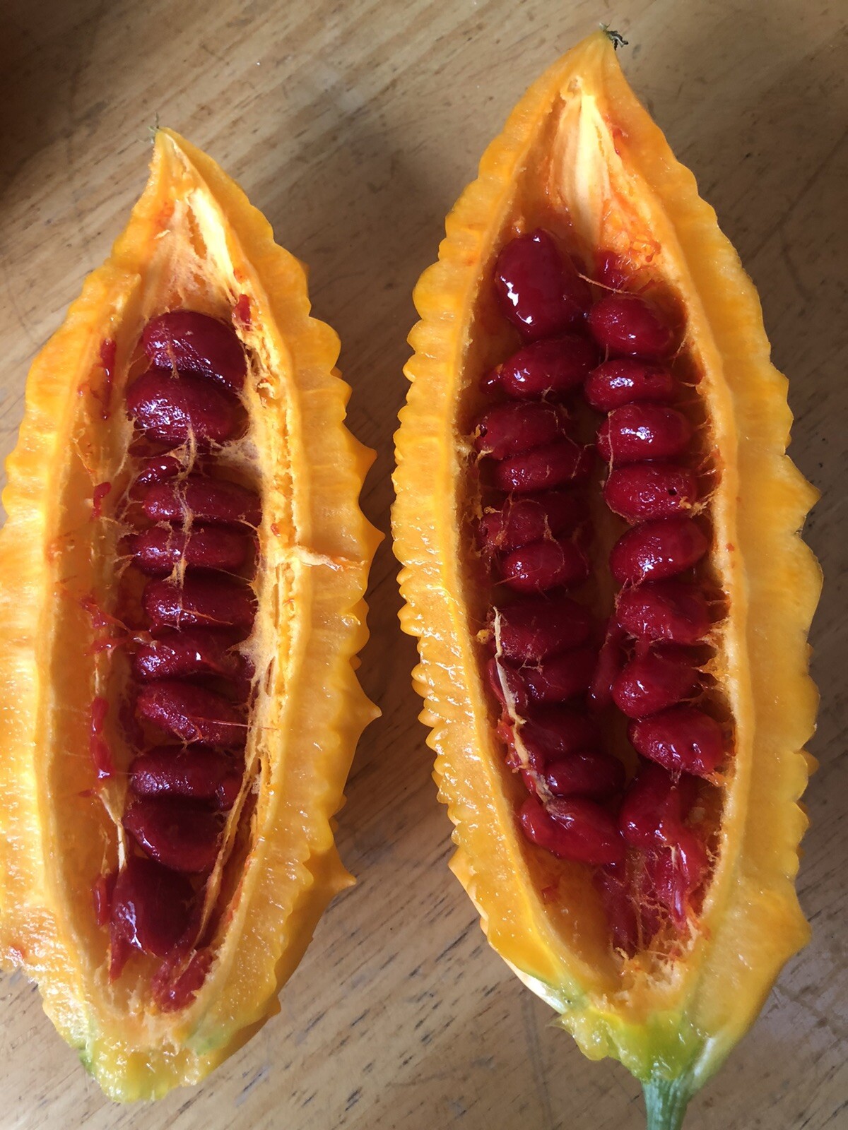Bitter Melon, Gold Bell , Sweet Bitter Gourd (50 Seeds)