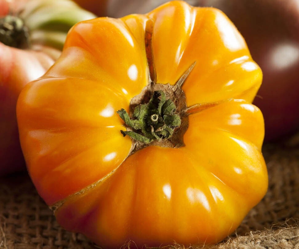 Tomato Mix BEEFSTEAK HEIRLOOM Tomatoes Colorful Indeterminate Non-GMO 100 Seeds!