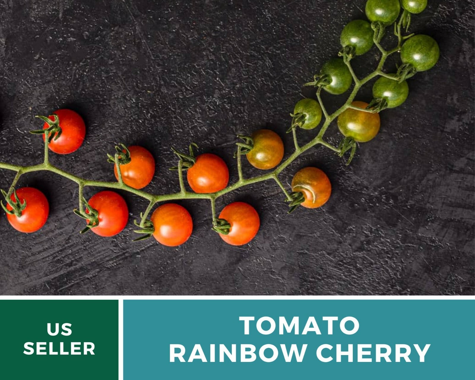 Tomato, Rainbow Cherry – Heirloom Seeds – Easy to Grow – GMO Free (Solanum lycop