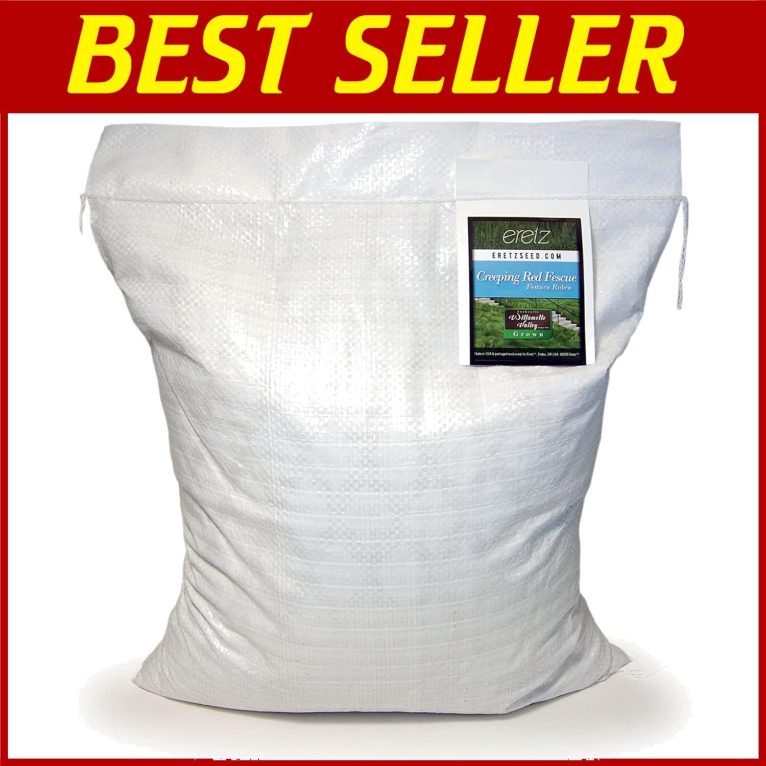Fine Fescue Seed 10lb – Weed Free, Disease Resistant