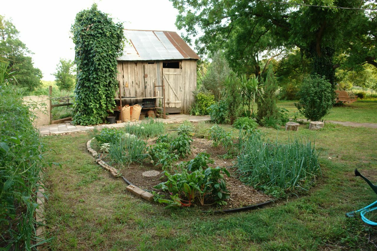 61 Heirloom Varieties! Preppers Special!! 20,000 Survival/Garden Seed Cache