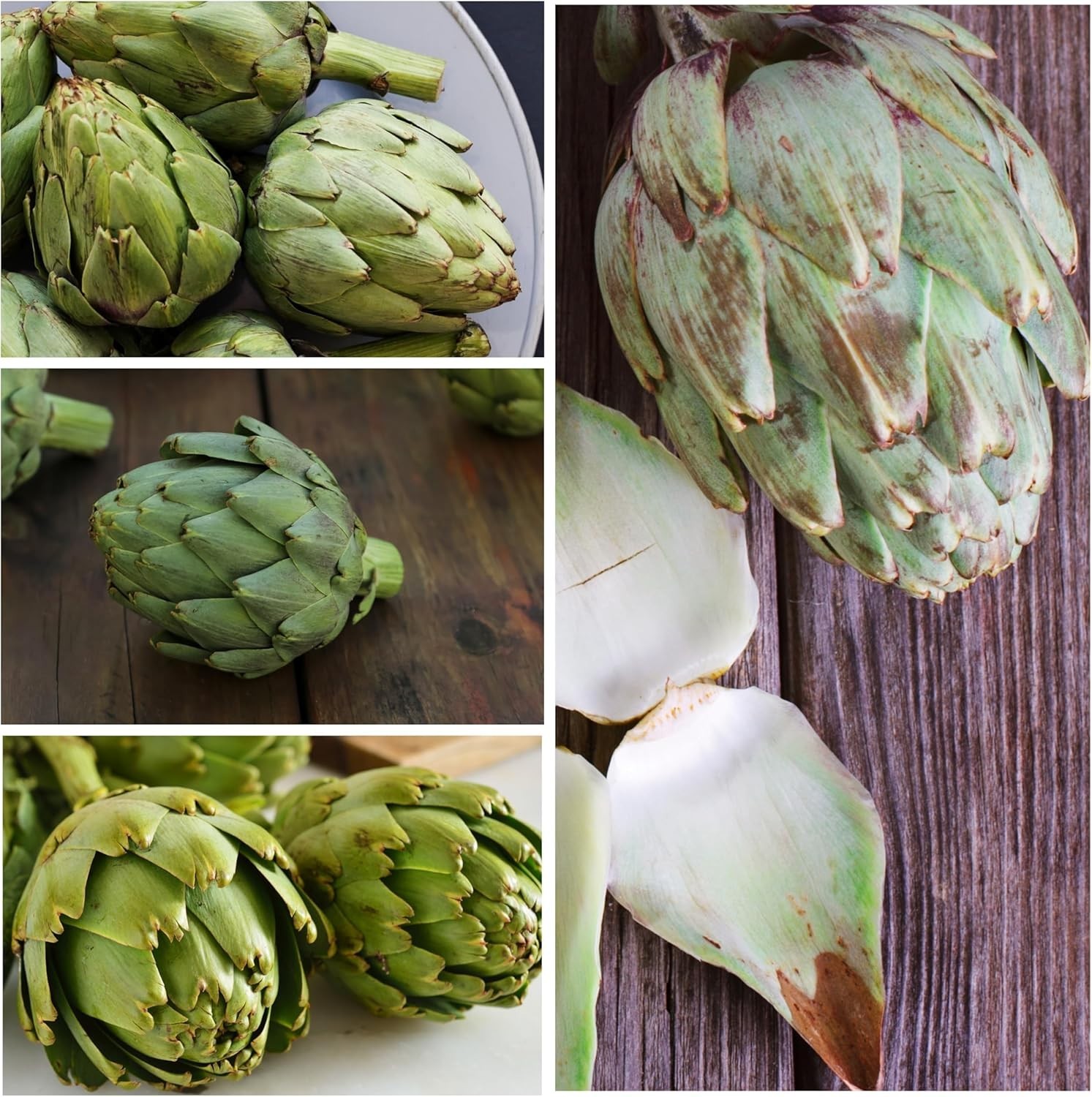 Green Globe Artichoke Seeds – Easy to Grow, Non-GMO, 2 Packs for Grown Gardeners
