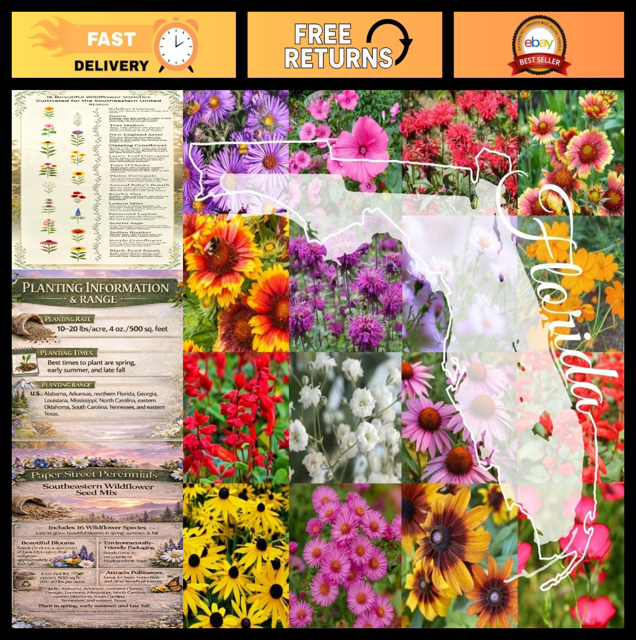 Wildflower Seed Mix 1/4lb Non-GMO – Attract Pollinators, Multi-Color Blooms, Cov