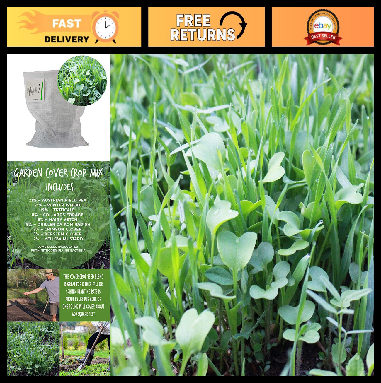 No-Till Garden Cover Crop Seed Mix – 5 Lbs – Hairy Vetch, Daikon Radish & More