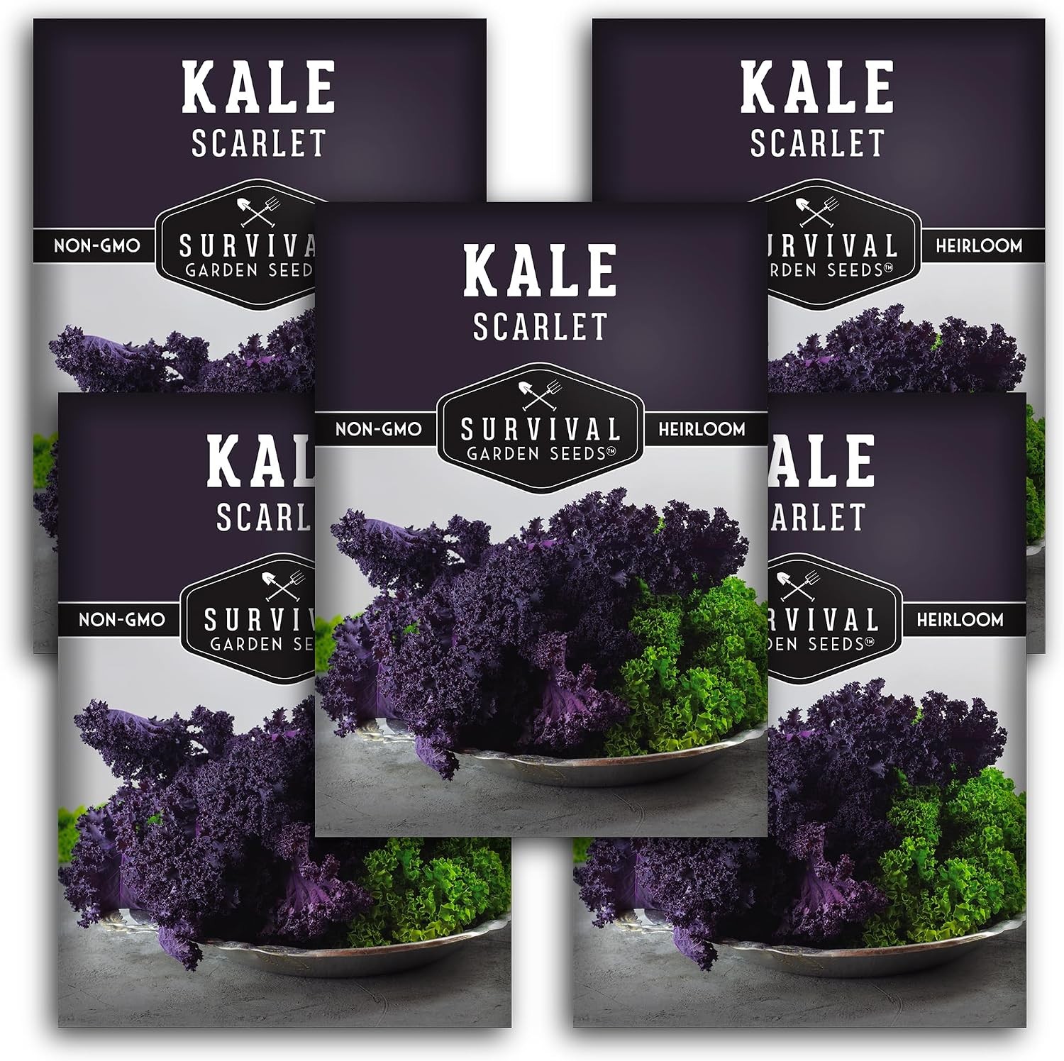 Scarlet Kale Seeds for Planting – Heirloom Purple – Cold Hardy Fall & Spring