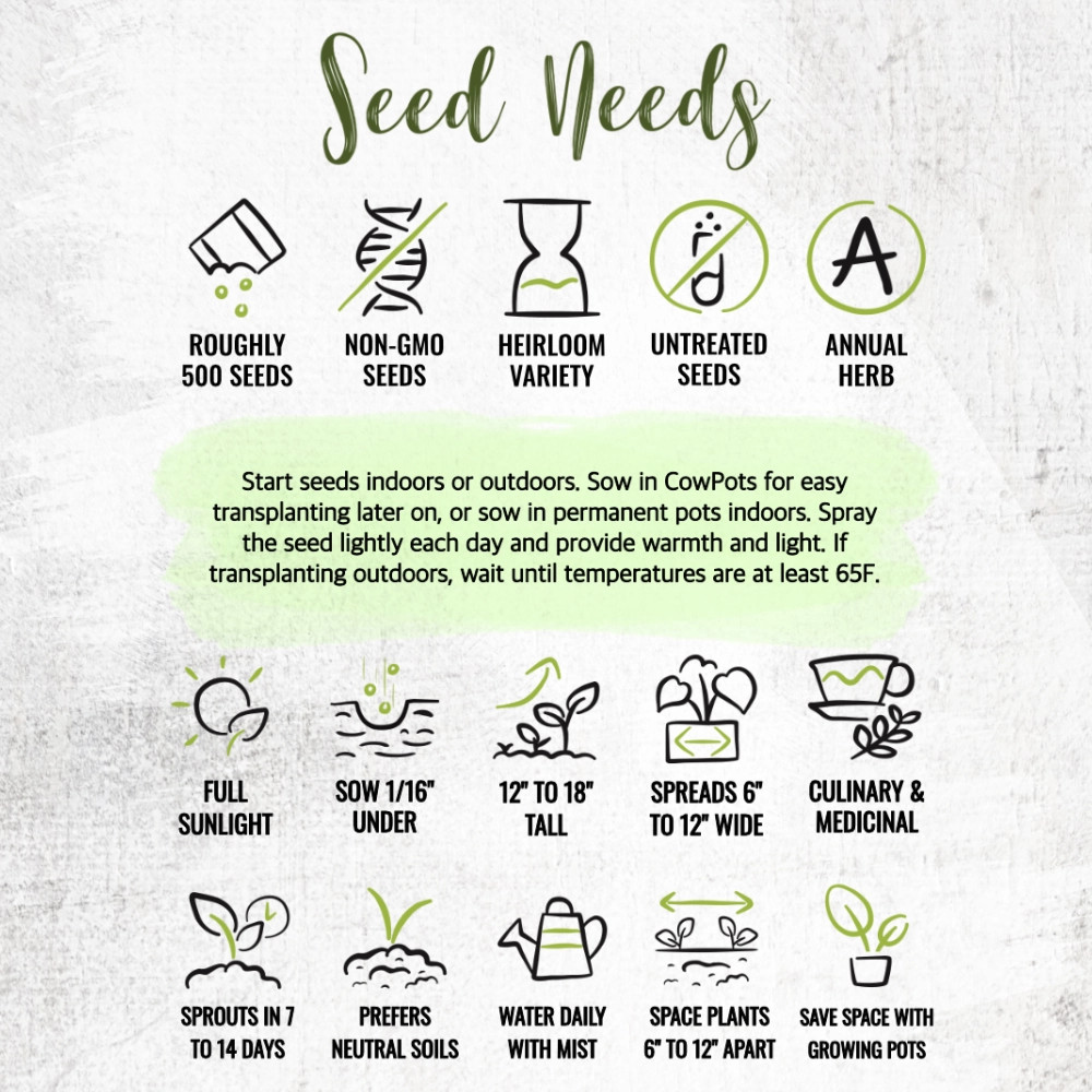 Summer Savory Herb Seeds For Planting (Satureja hortensis)