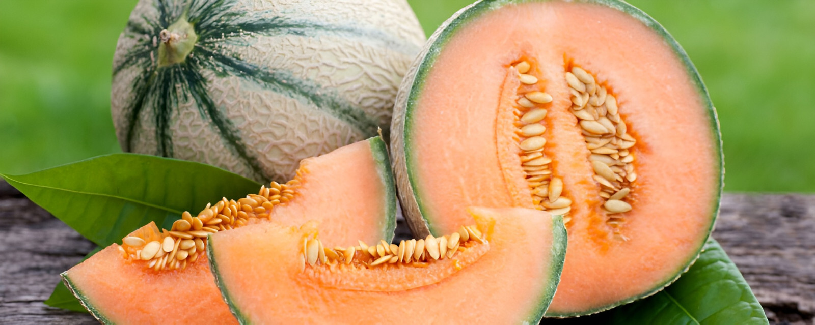 75 Heirloom Honey Rock Cantaloupe Seeds – Prize Winning Melon! – SUPER Sweet!