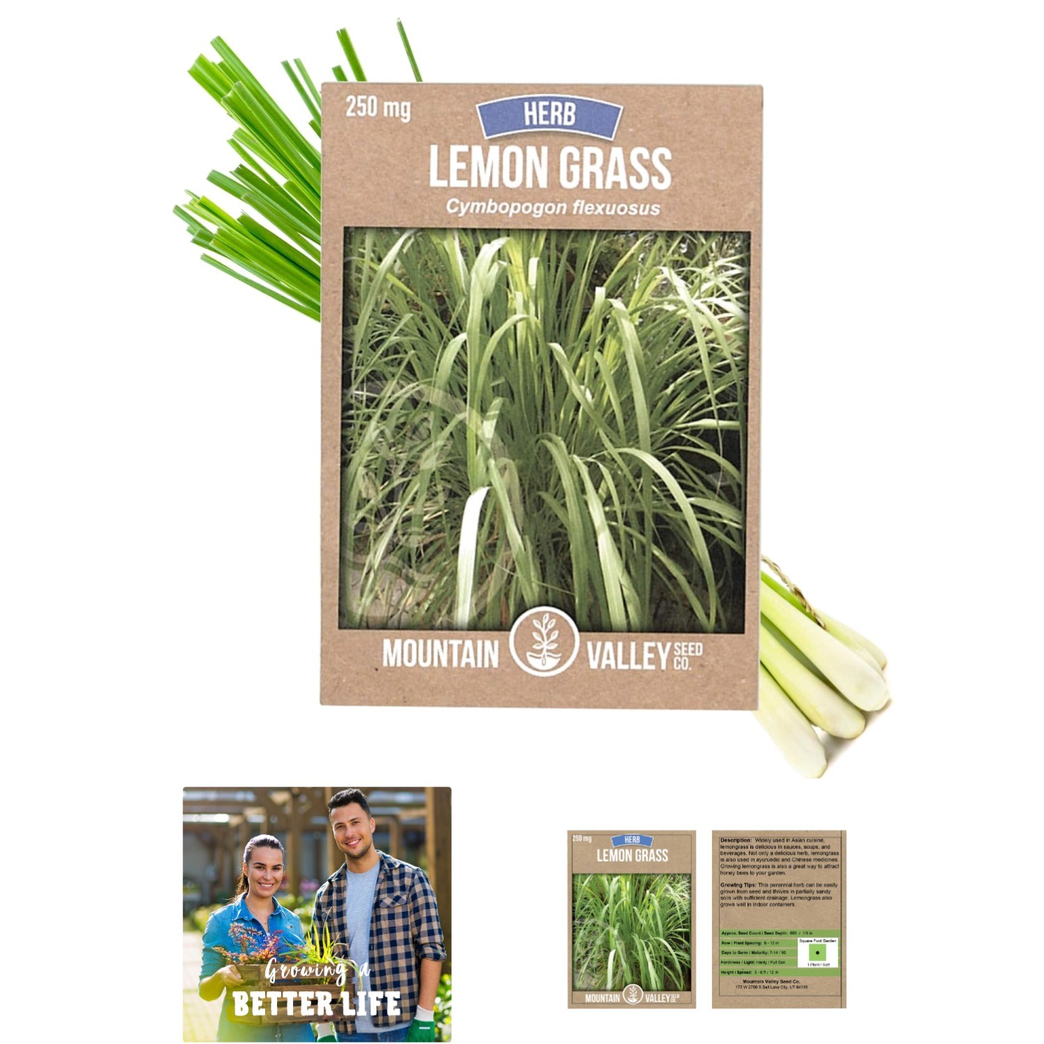 250 Mg Non-GMO Heirloom Lemongrass Seeds for Culinary Garden – Fragrant & Fresh