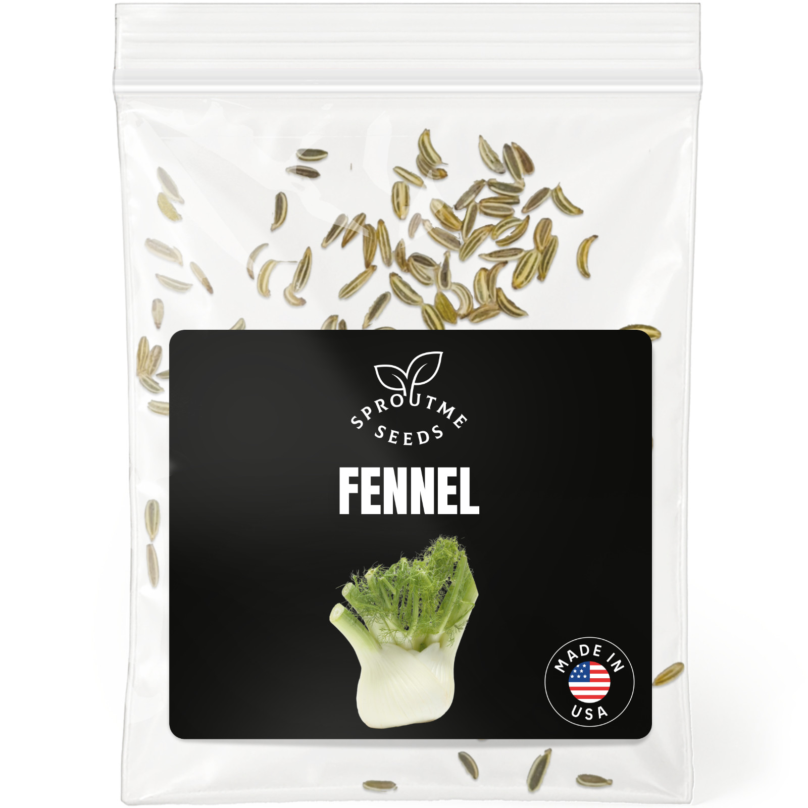 Fennel Seeds 150+, Heirloom Non-GMO, Aromatic Culinary Herb for Garden