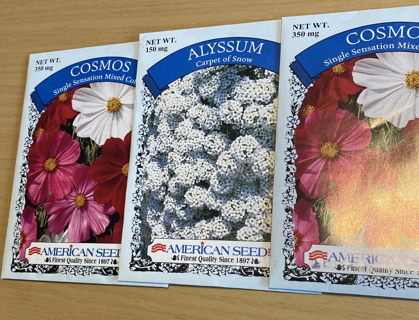 Cosmos Flowers Seed Mix, lots of 3 mixed Beautiful Varieties, Colorful, new