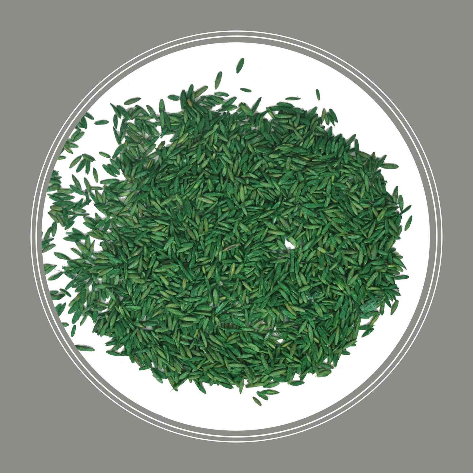 Contractors Central Grass Seed Mix, Grass Seeds for Lawn, for Sun to Partial Sha