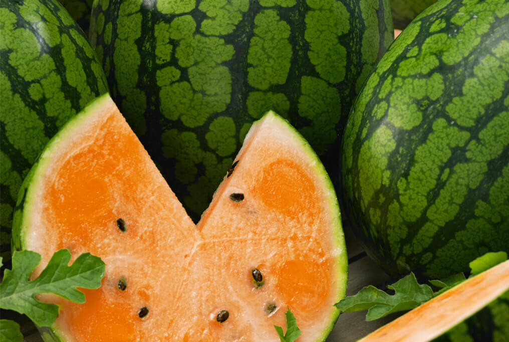 75 TENDERSWEET ORANGE WATERMELON FRESH FOR 2024 GARDENS