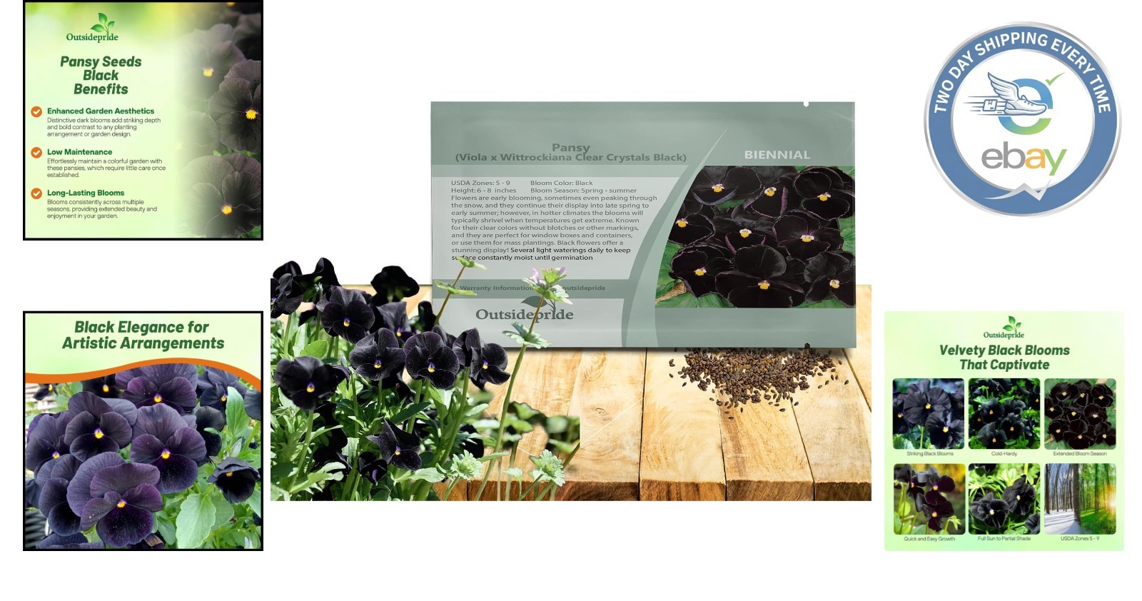 Elegant Black Viola Pansy Seeds – Pollinator-Friendly Biennials for Any Garden