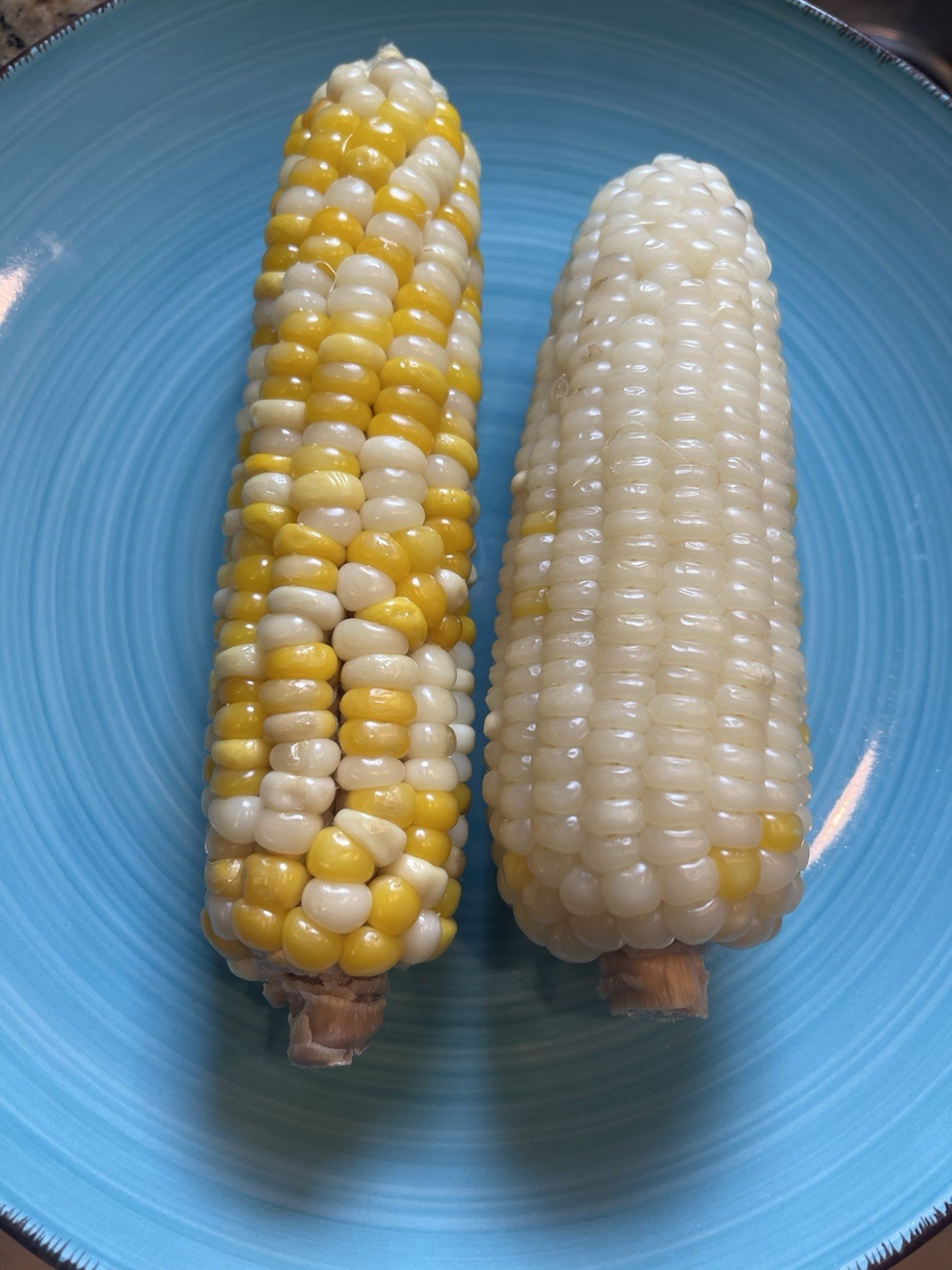 Organic Sweet Sticky Waxy White Glutinous Corn Non-GMO 糯玉米