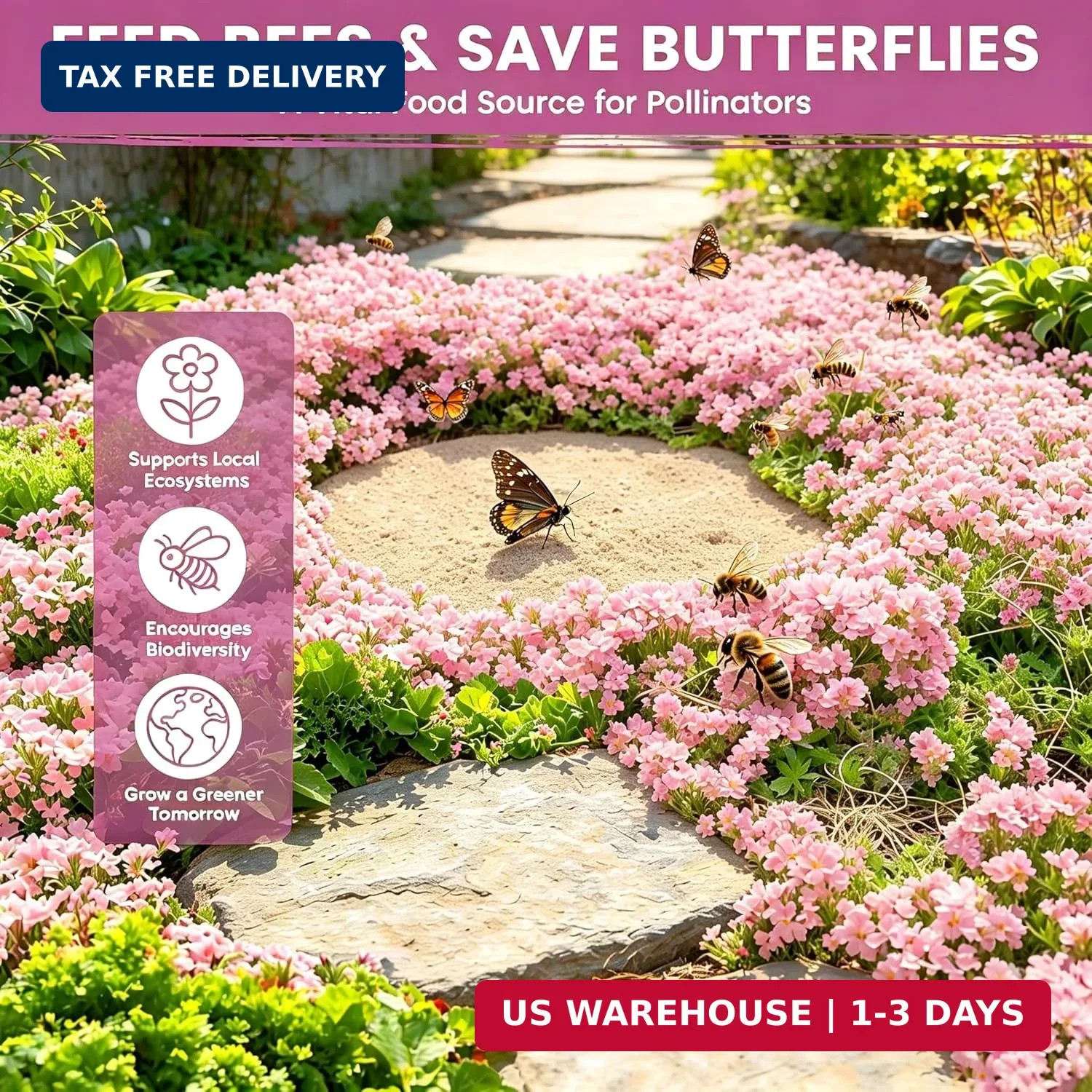 Pink Creeping Thyme Ground Cover Flower Seeds for Planting, 20003+pcs Perennial
