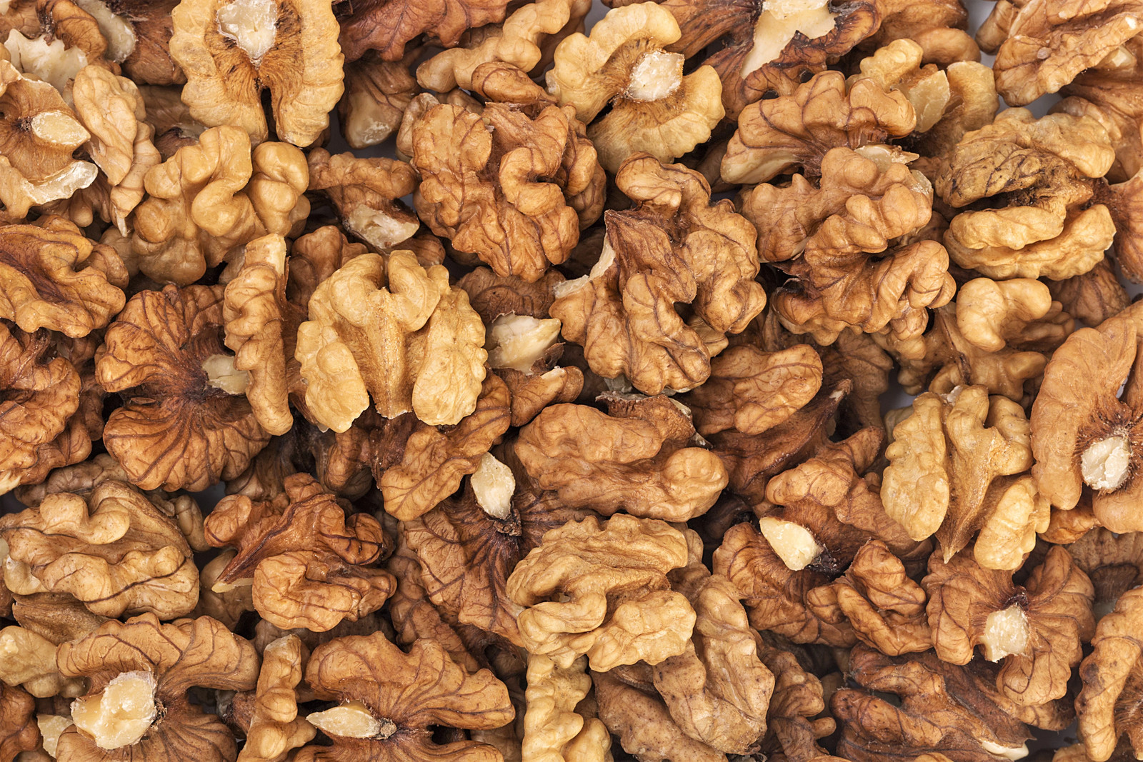 5 ENGLISH WALNUT Common Hardy Carpathian Nut Fruit Tree Juglans Regia Seeds