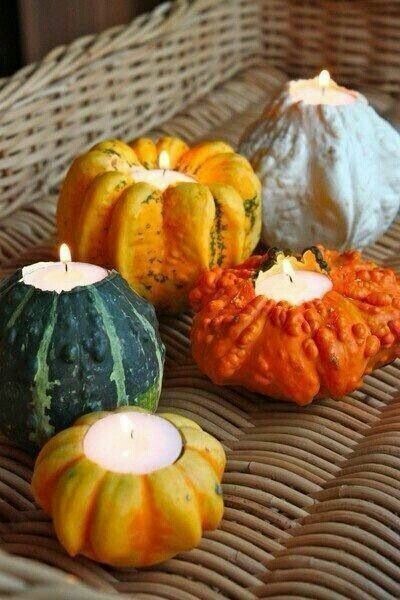60+ Small Ornamental Gourd Mix Seeds – Heirloom – NON GMO – FRESH