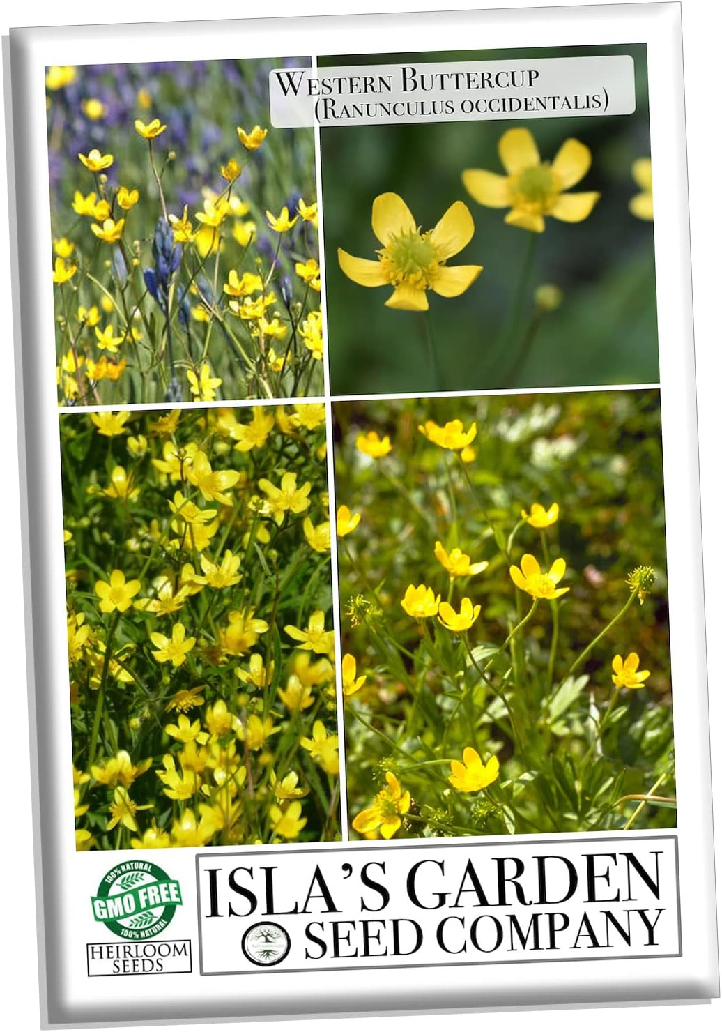 Western Buttercup (Ranunculus Occidentalis) – 250+ Non-Gmo & Heirloom by Isla’