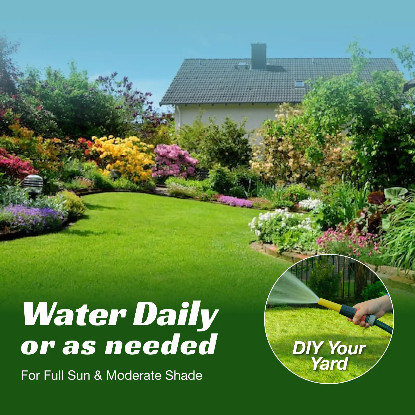 Grass Seed and Shade Grass, Grows Quickly and Withstands All Seasons, Perfect fo