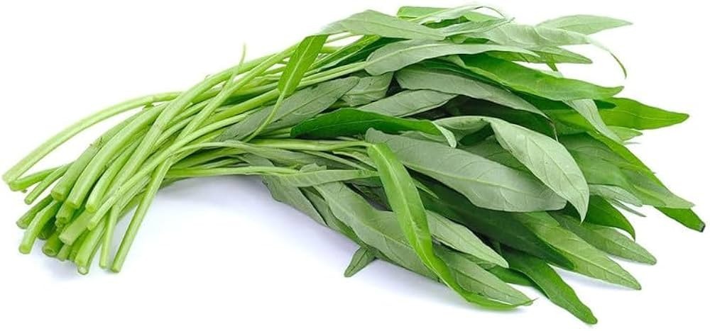 Kolmi Shak Seeds ( 20 Grams ) Water Spinach seeds, Indian Water Spinach