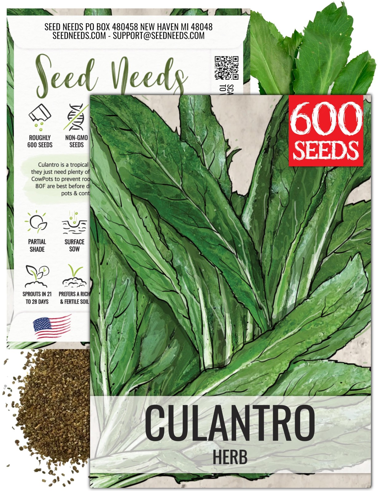 Culantro Seeds for Planting Mexican Coriander – Non-GMO Heirloom & Untreated …