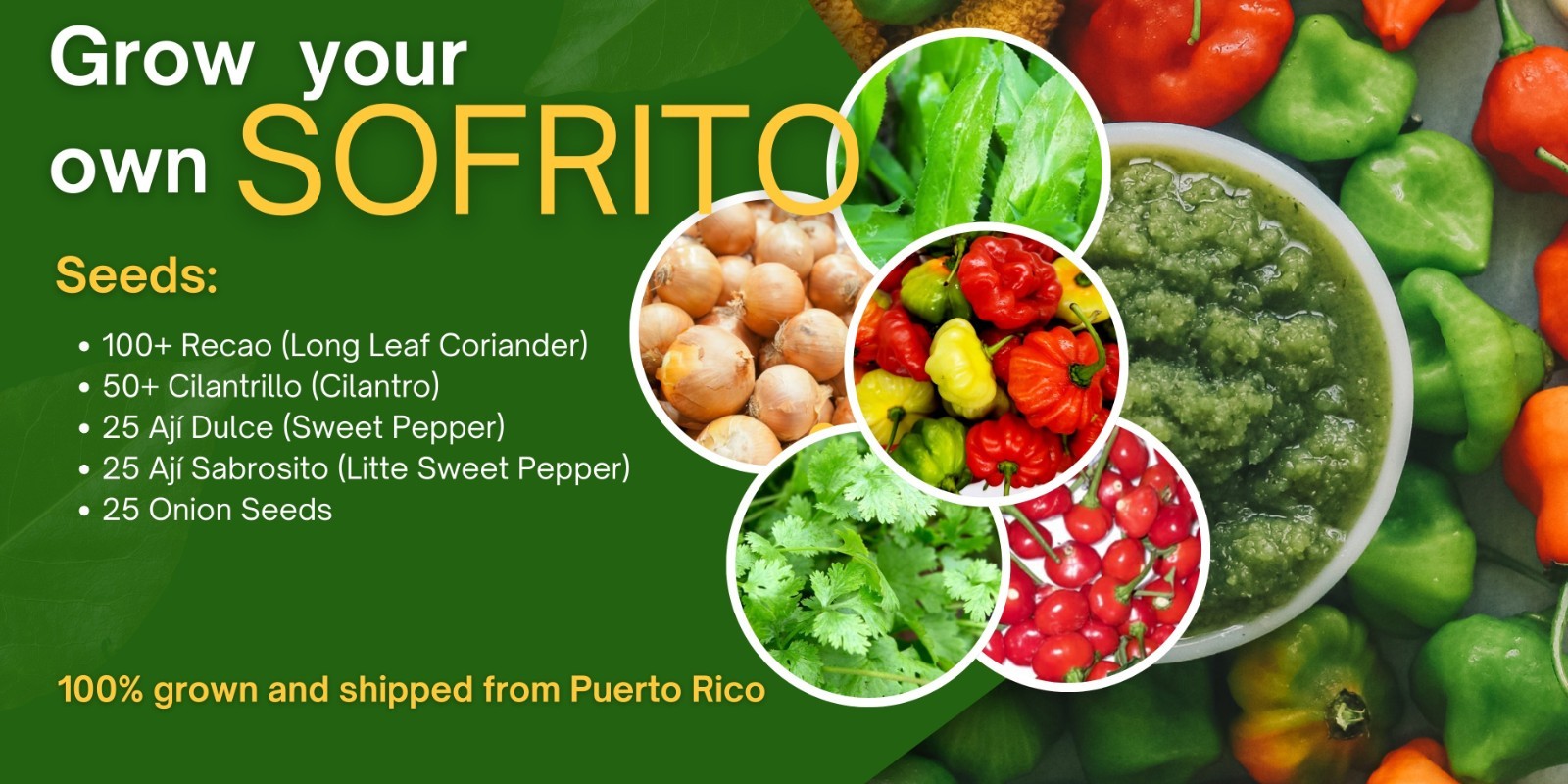 200+ Sofrito Seeds Combo, Sweet Pepper, Cilantro, Onion, Recao from Puerto Rico