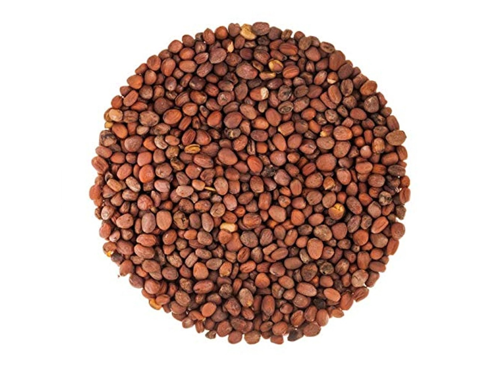 Organic Radish Seeds for Sprouting – Non-GMO, Kosher, Raw – by Food To Live