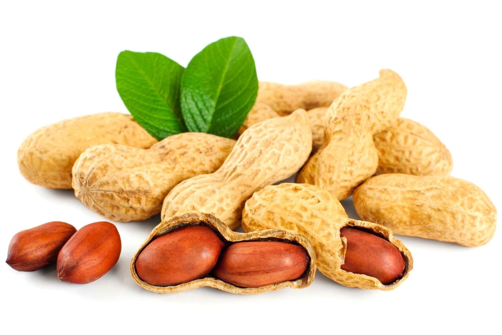 Spanish Peanut Seeds – 10 Pack for Growing Annual Warm-Season Plants, High Yield