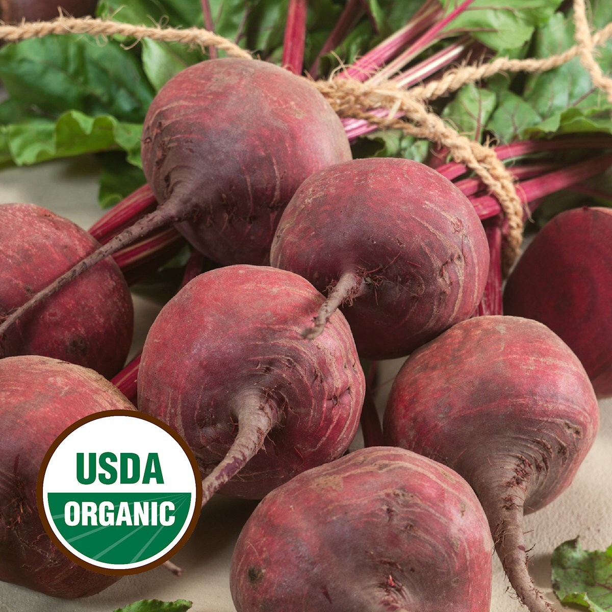 500 Organic Green Top Bunching Beet Seeds – Everwilde Farms Mylar Seed Packet