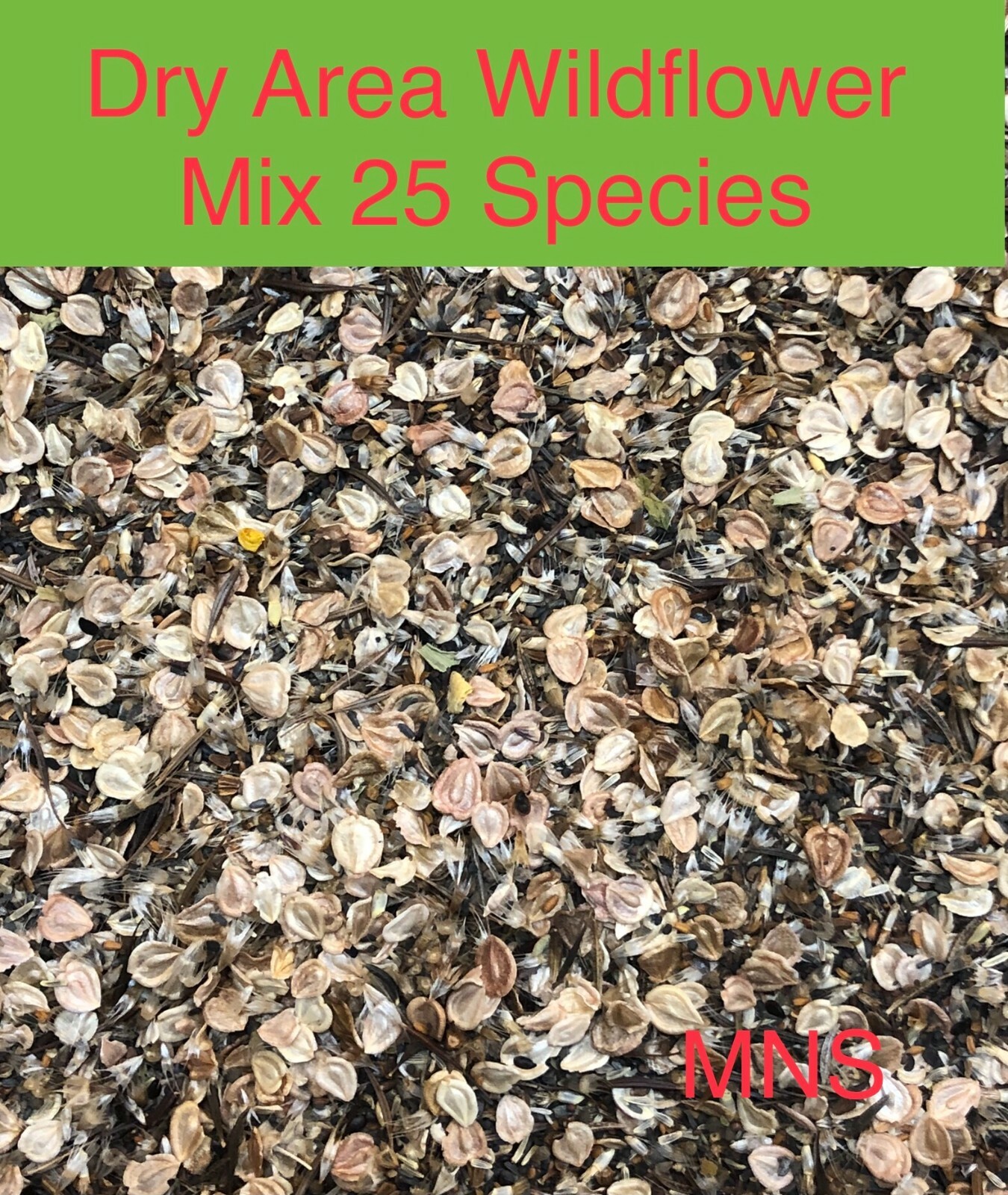 Wildflower Mix DROUGHT RESISTANT 25 Species Dry Area Flowers Non-GMO 500+ Seeds