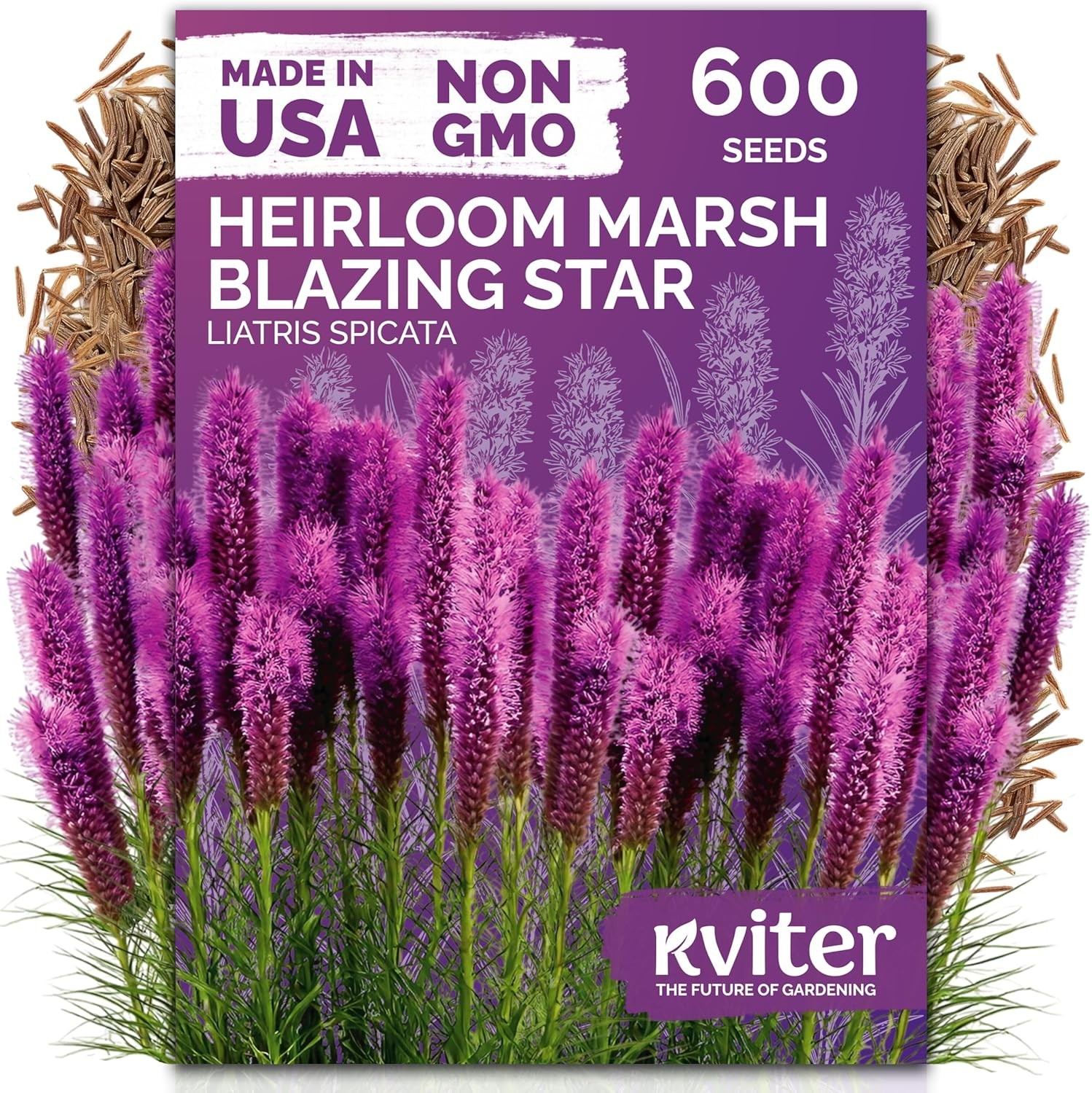 600 Marsh Blazing Star Seeds for Planting (Liatris Spicata) – Gayfeather Dense M