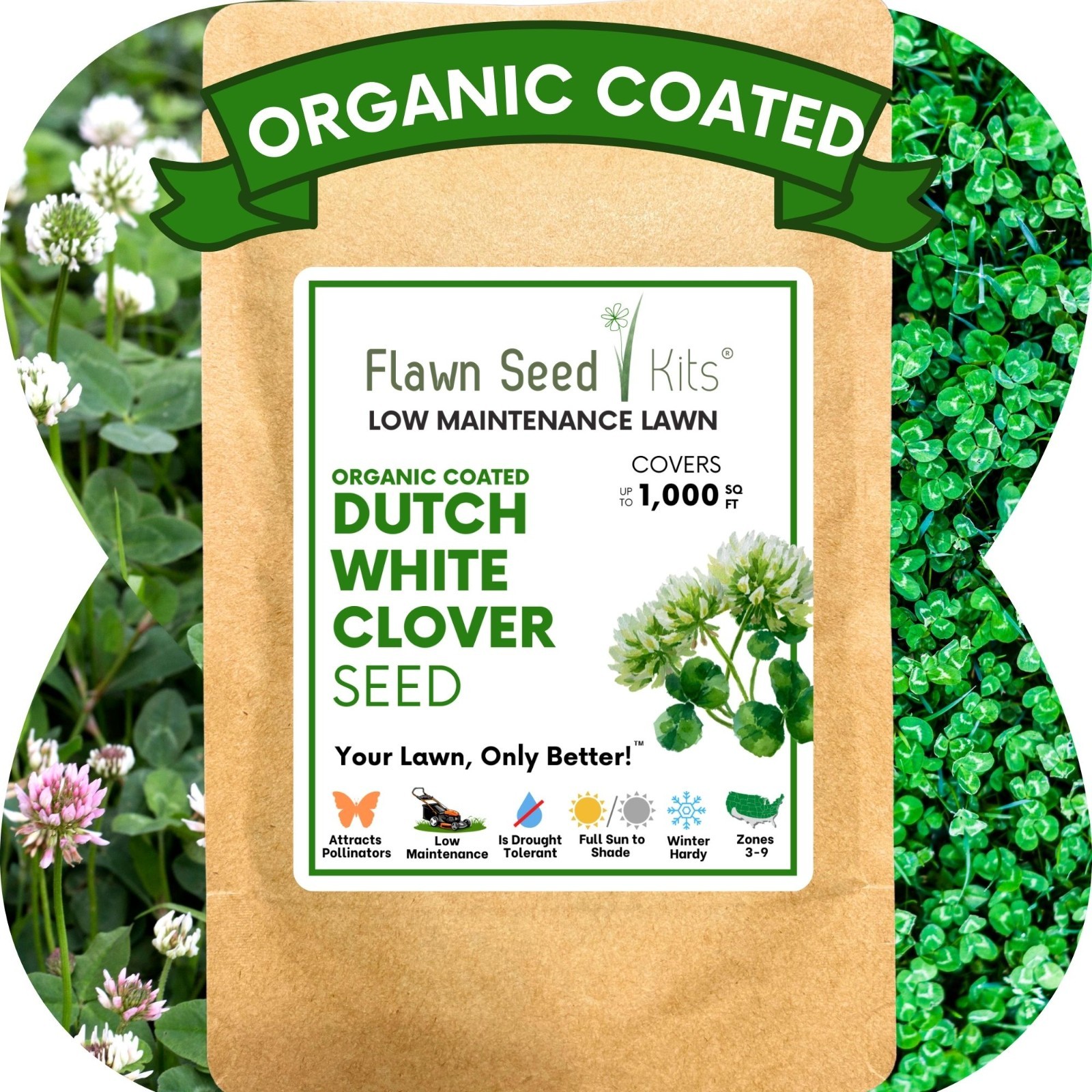Dutch White Clover Seed, Organic Coated, Eco-Friendly, Low Maintenance